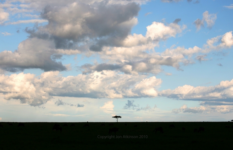 Tsavo East National Park, Kenya Tsavo East National Park, Kenya